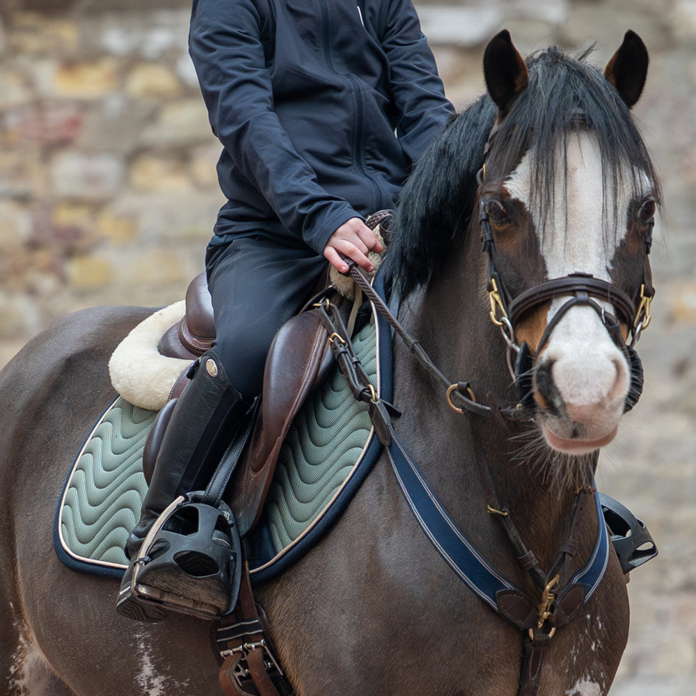 kingsland-equestrian-kllucca-cooling-springschabracke image 8