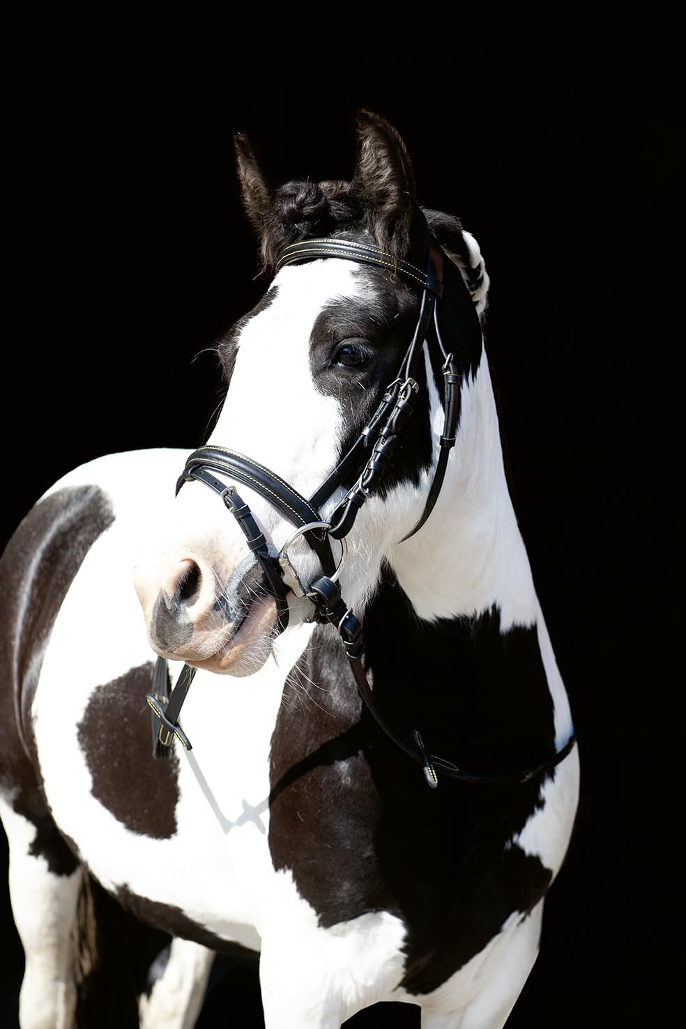 hkm-lou-trense-schwarz-one-size-rindsleder image 4