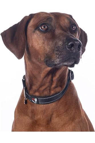 hkm-nylon-hund-halsband-13728-schwarz image 6