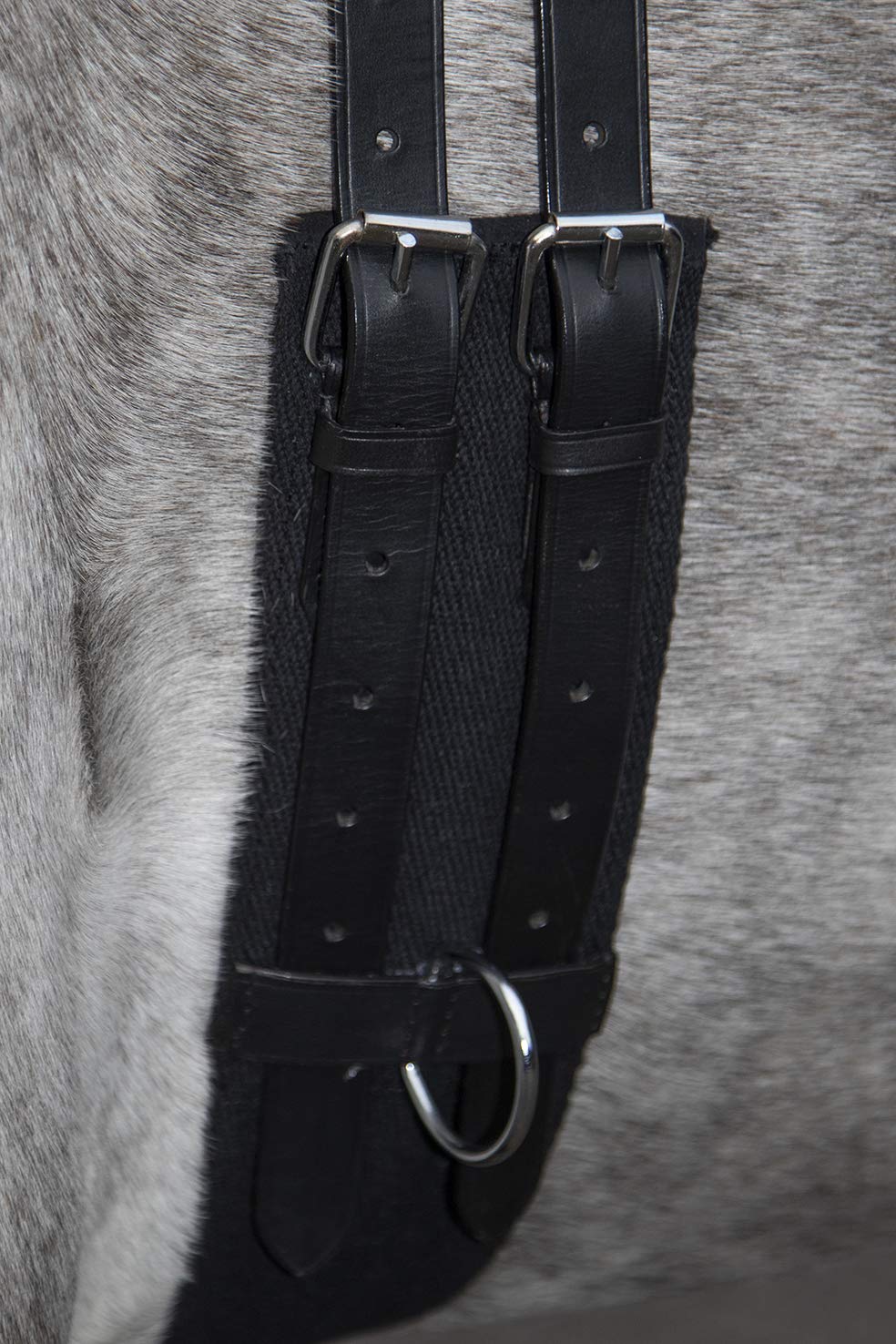 hkm-longierleine-canvas-8297-navy-sky-blue-pony image 4