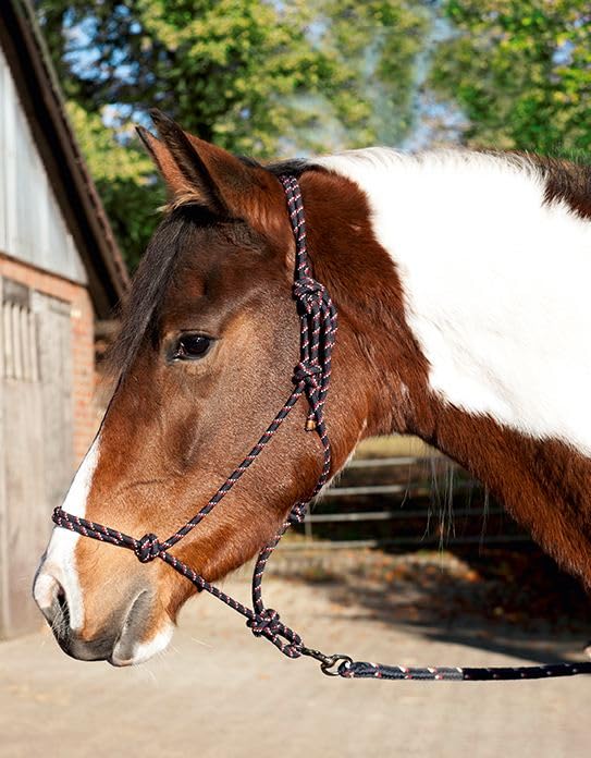 hkm-western-knotenhalfter-11330-mit-strick-schwarz-pony image 3