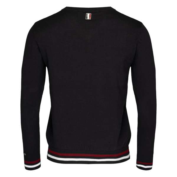 kingsland-equestrian-classic-herren-strickpullover-v-neck image 2