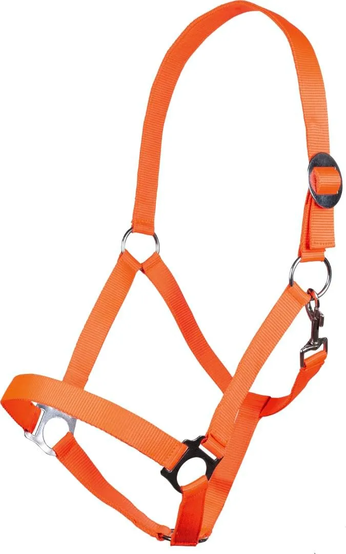 hkm-stars-economy-halfter-softice image 1