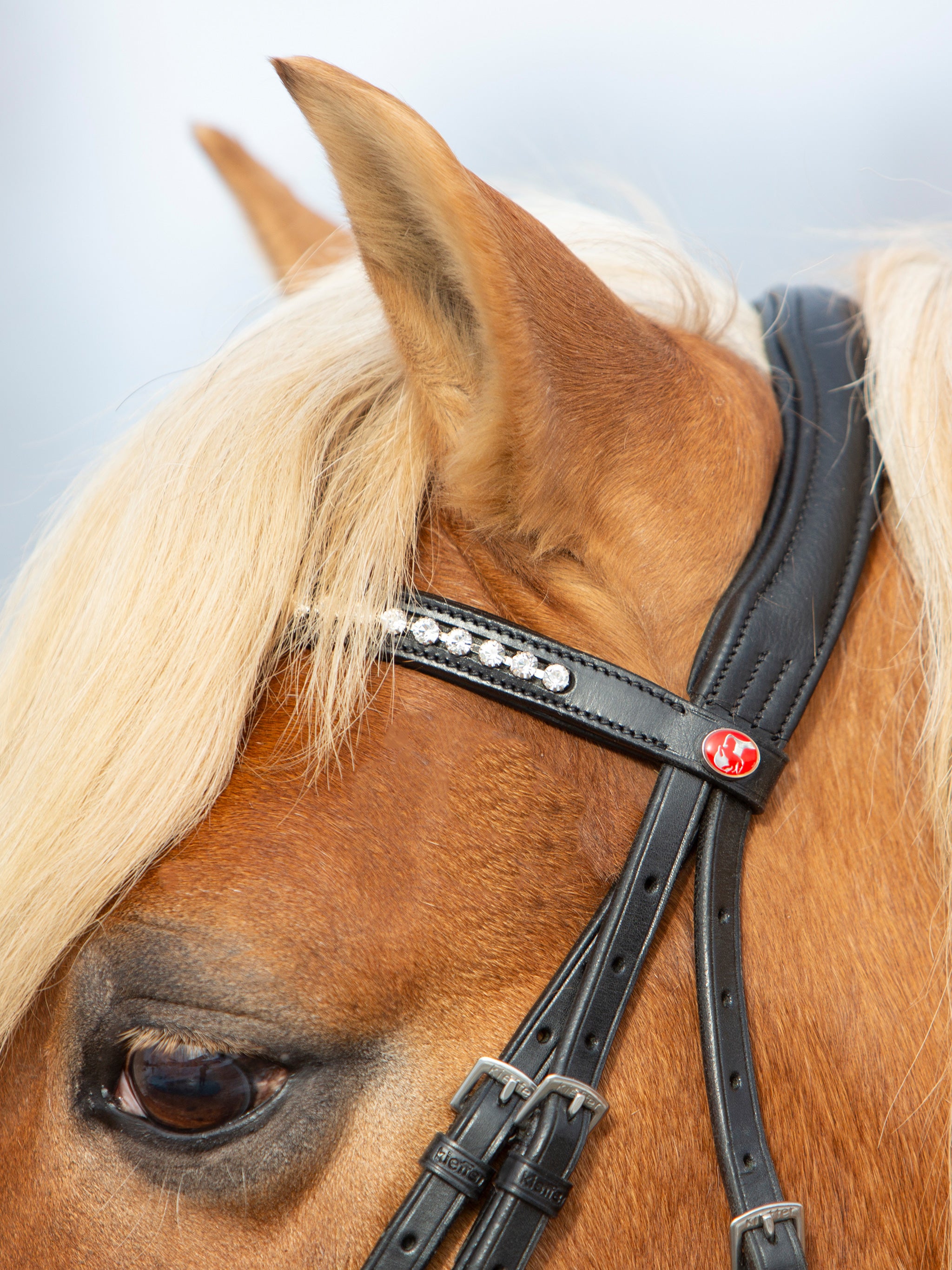 kieffer-ultrasoft-haflinger-trense-mit-kristallstirnband image 4