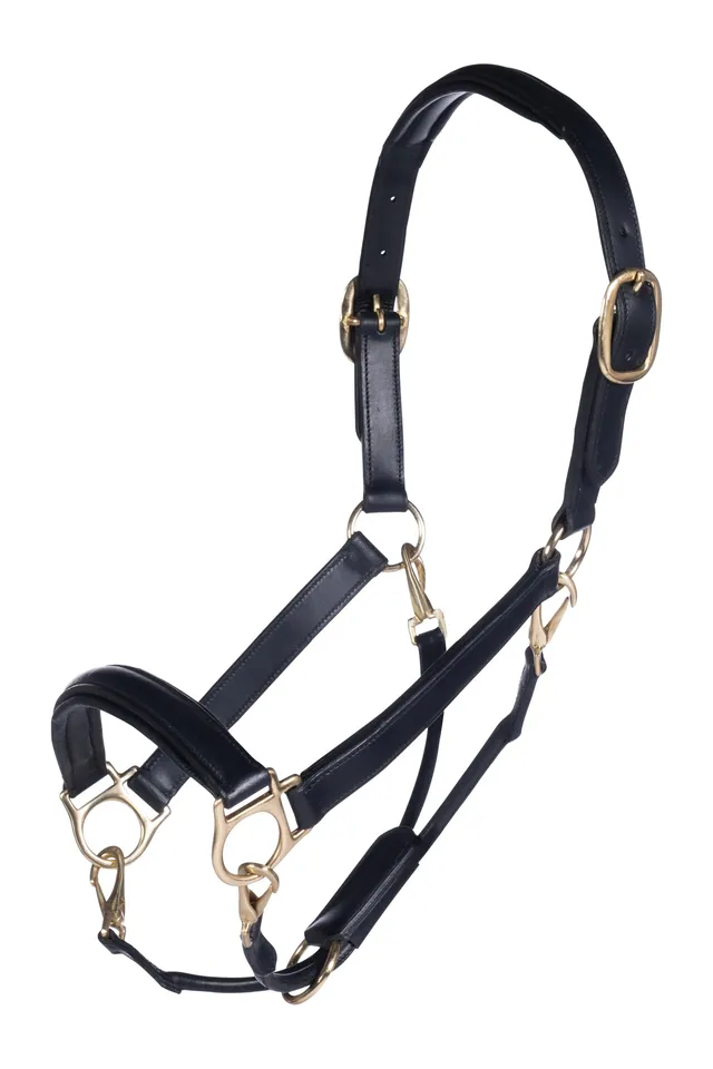 hkm-gold-9100-lederhalfter-schwarz-pony image 1