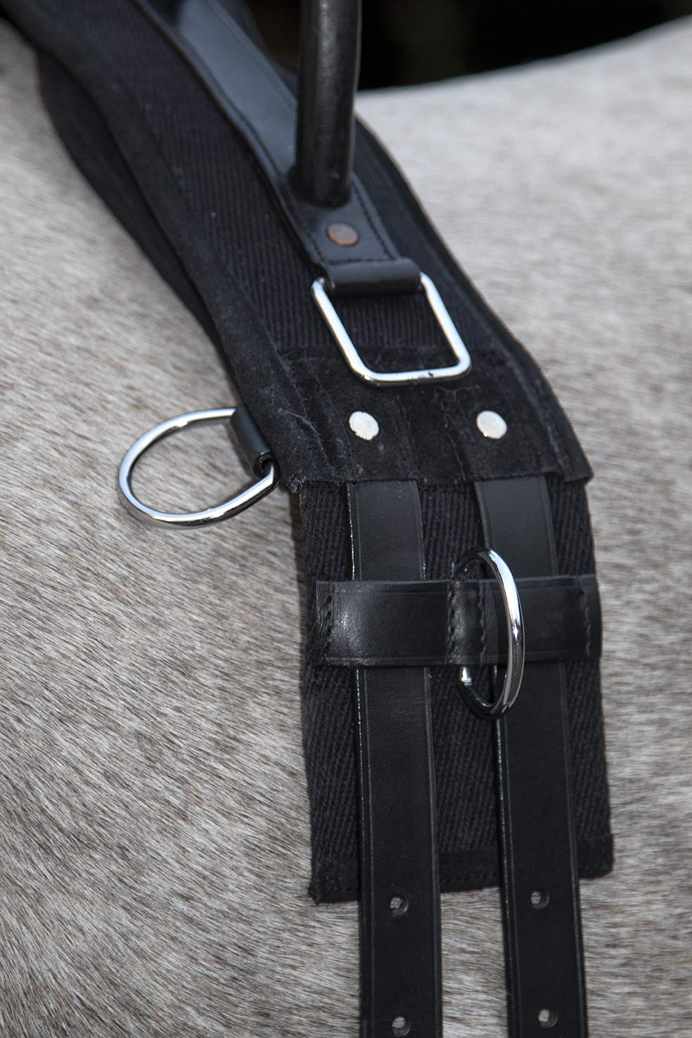 hkm-longierleine-canvas-8297-navy-sky-blue-pony image 3