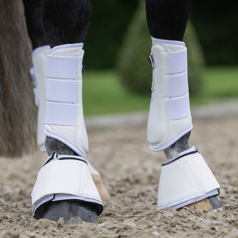 kingsland-equestrian-klmona-gamaschen-vorderbeine image 2