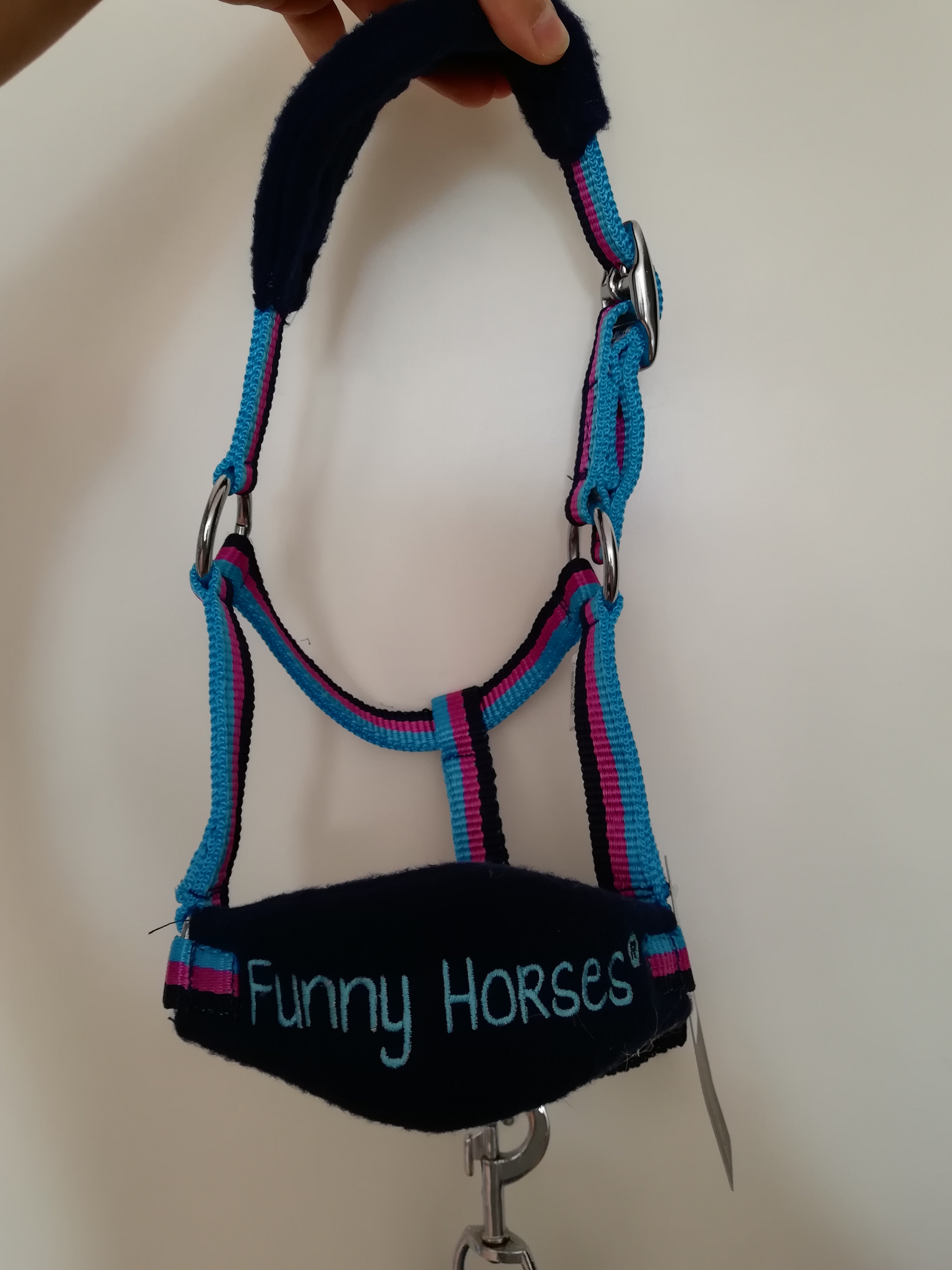 Schönes Halfter für kleine Ponys