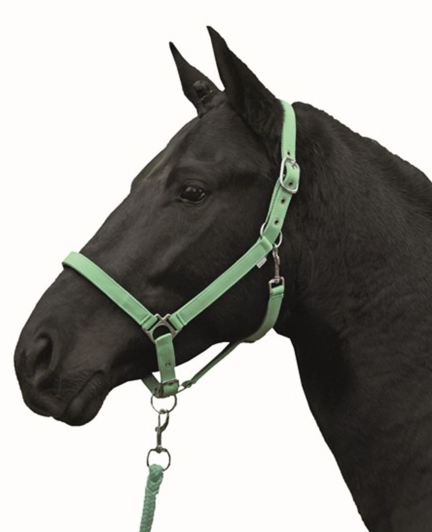 hkm-stars-economy-softice-holster image 8
