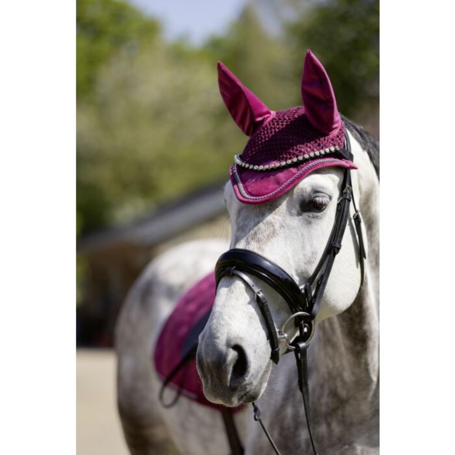hkm-berry-9300-fliegenhaube-dunkelgrau-vollblut image 5