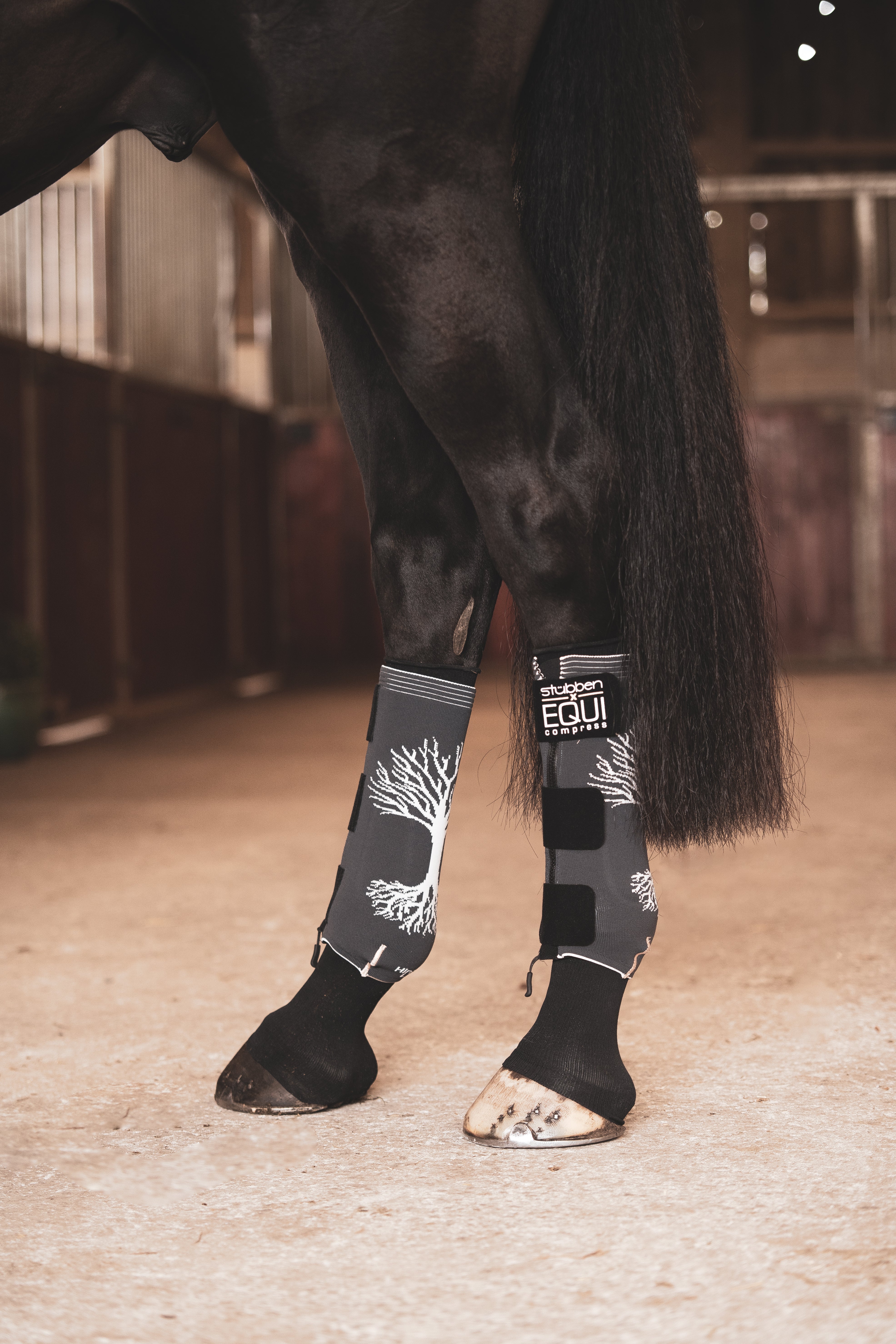 st-bben-x-equi-compress-set-hinterbeine-kompression image 7