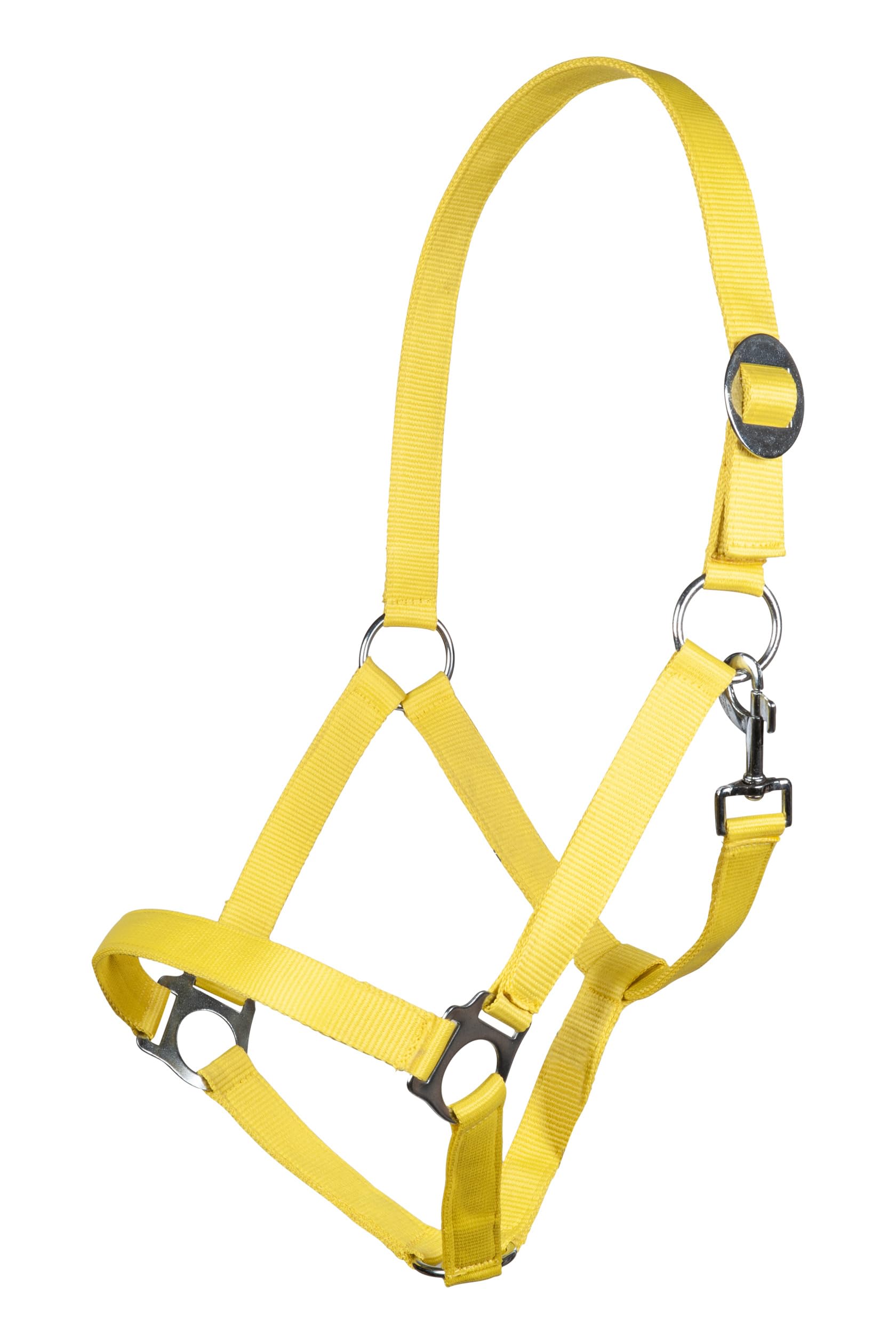 hkm-stars-economy-softice-holster image 2