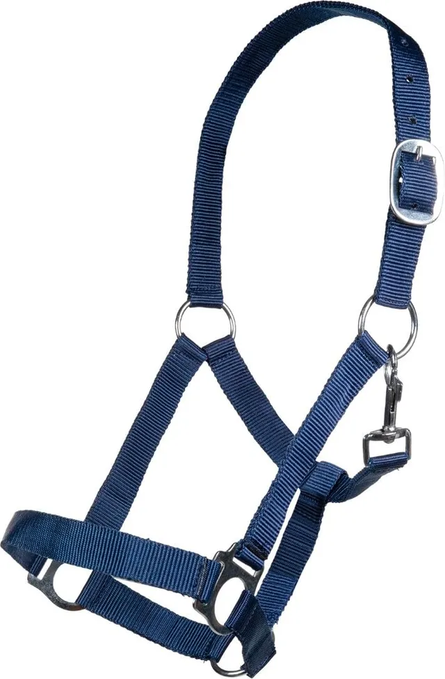 hkm-brisbane-halfter-vollblut-dunkelblau image 1