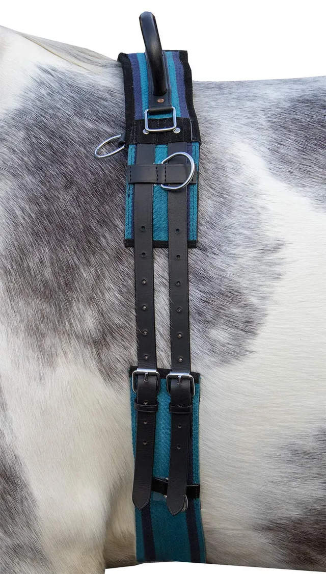 hkm-longierleine-canvas-8297-navy-sky-blue-pony image 1