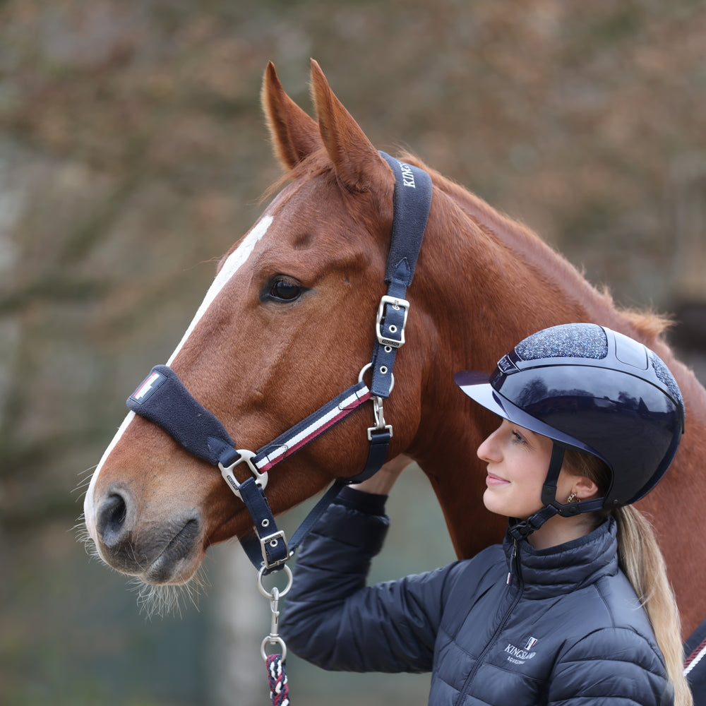 kingsland-equestrian-classic-halfter-mit-fleece-pferd image 2