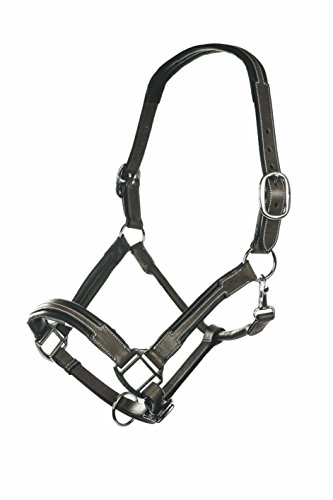 hkm-soft-lederhalfter-verstellbar-mit-weicher-polsterung image 6