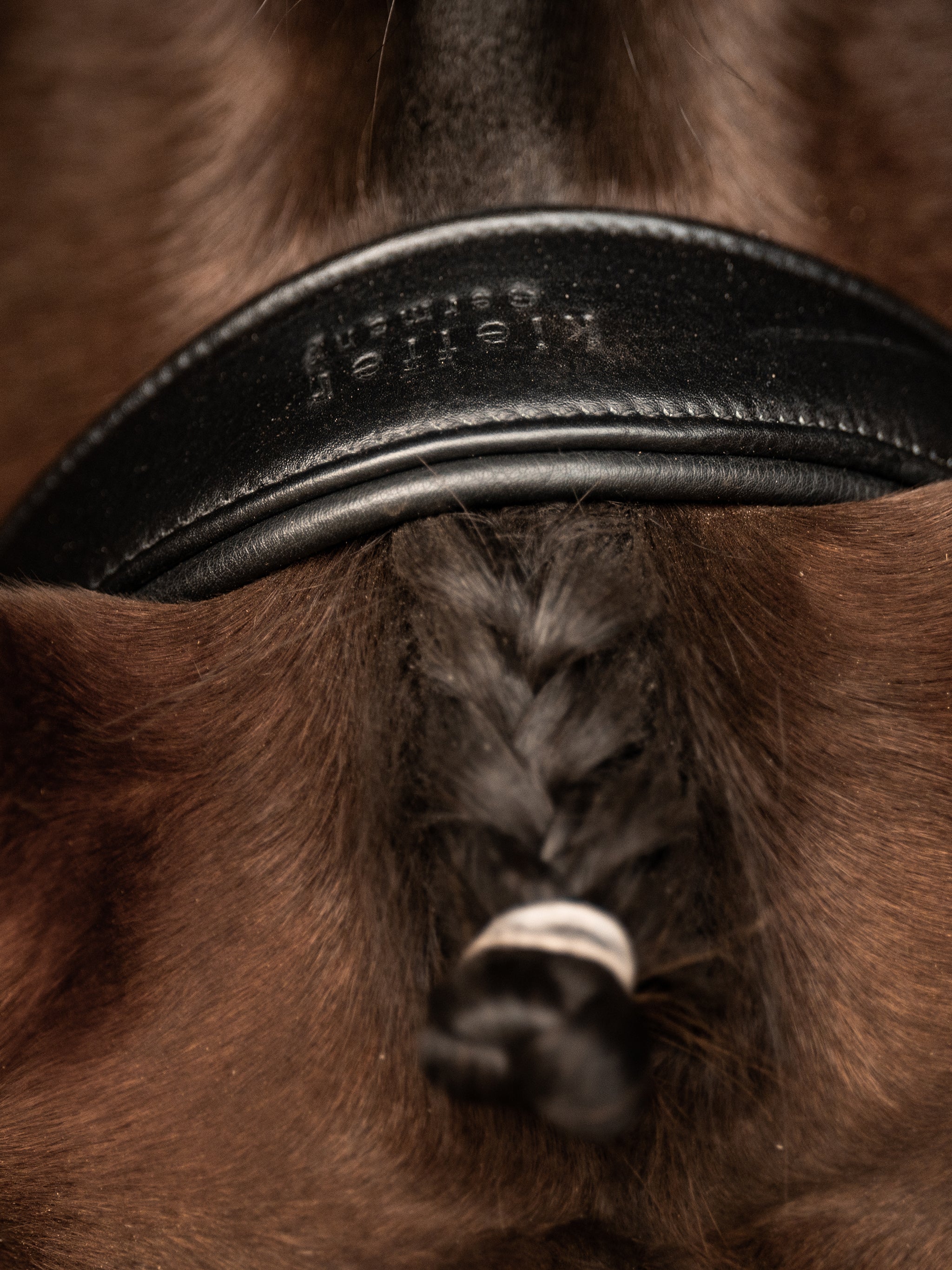 kieffer-ultrasoft-sue-trense-mit-kristallstirnband image 4