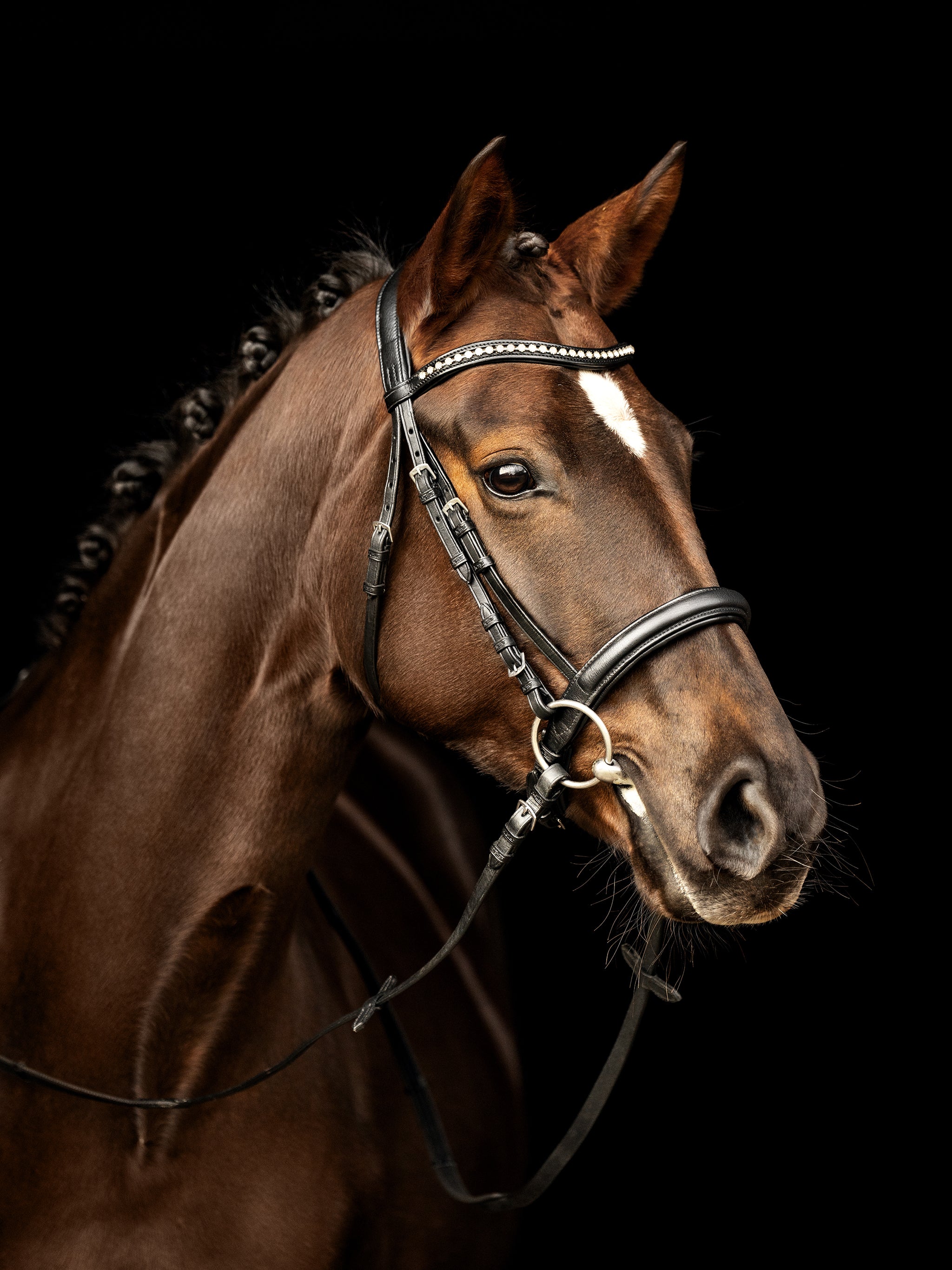 kieffer-ultrasoft-sue-trense-mit-kristallstirnband image 2