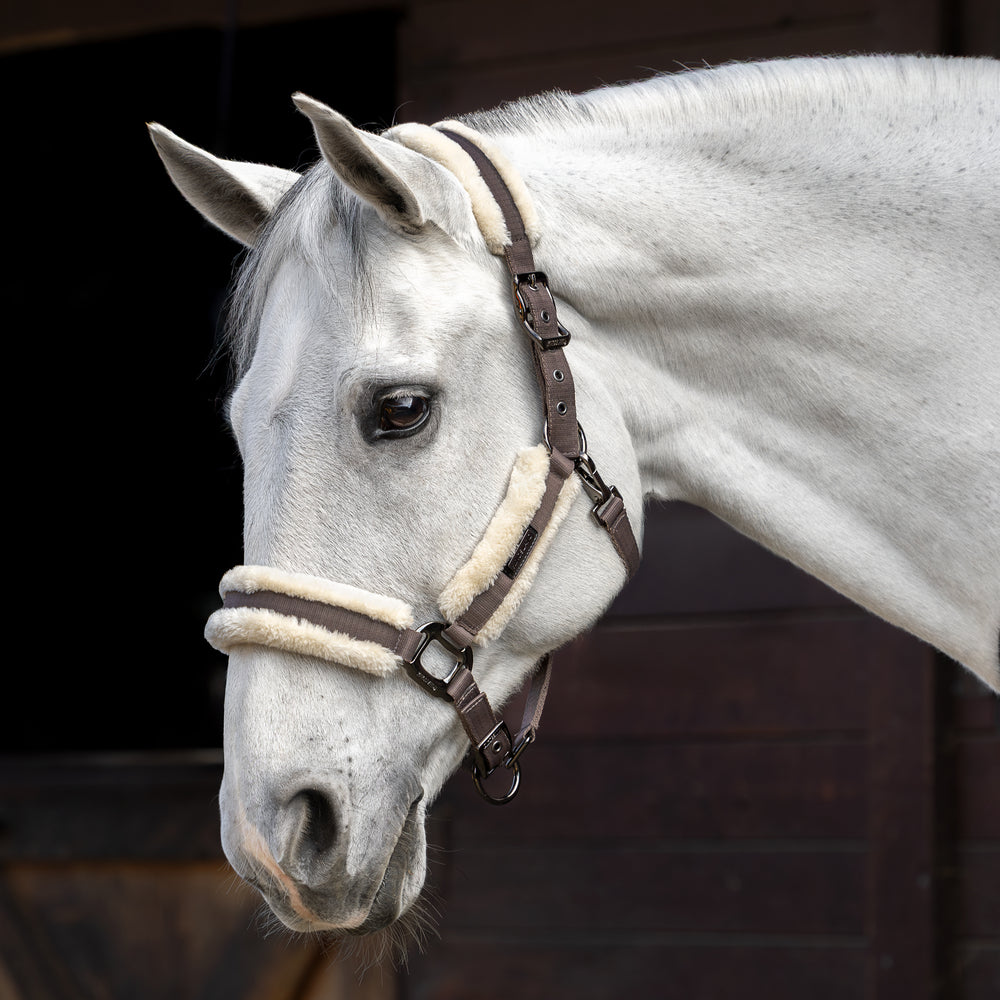 kingsland-equestrian-kllexie-halfter-mit-kunstfell-und-strick image 4