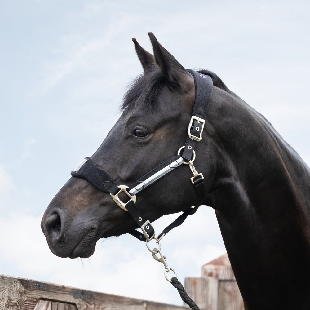 kingsland-equestrian-classic-halfter-mit-fleece-pferd image 4