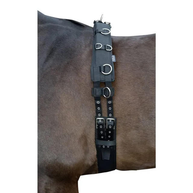 hkm-longiergurt-mit-softoprenpolsterung-schwarz-pony image 1
