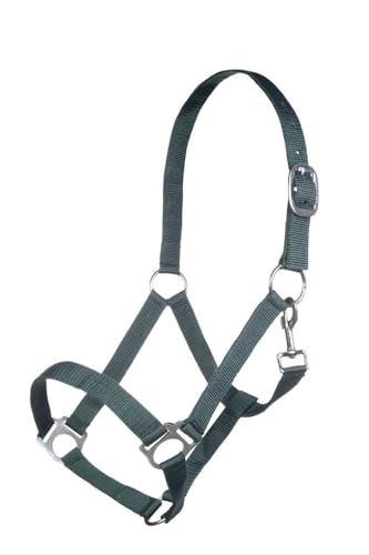 hkm-brisbane-halfter-warmblut-dunkelgr-n image 3
