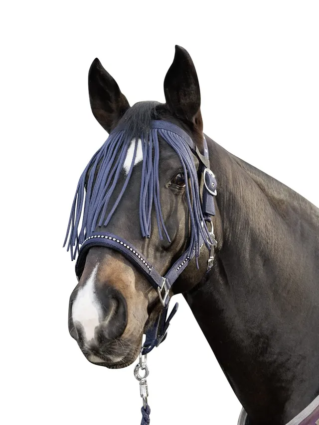 hkm-anti-fly-fliegenschutzstirnband-dunkelblau-warmblut image 1