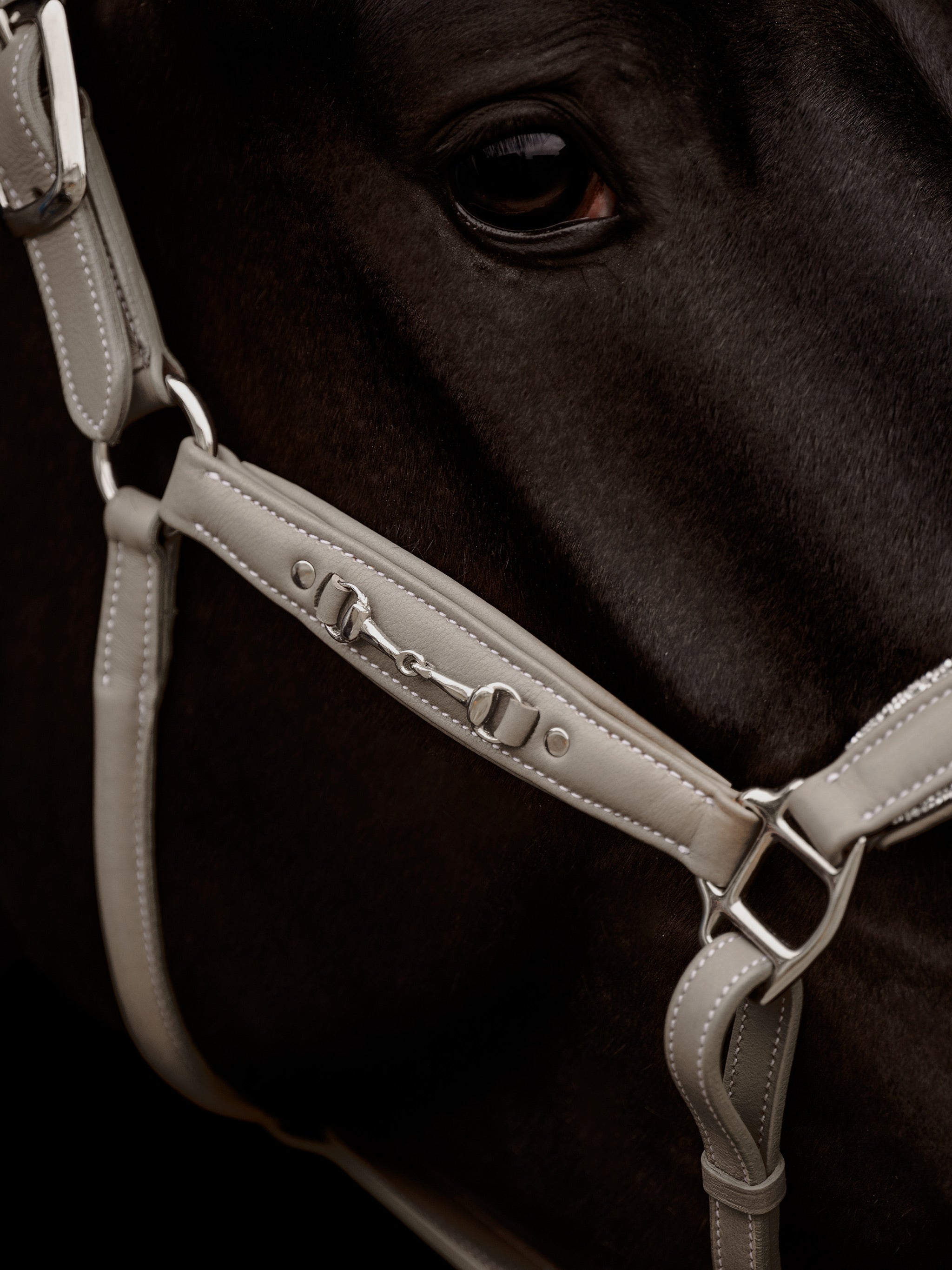 kieffer-ultrasoft-horsebit-leder-stallhalfter image 2