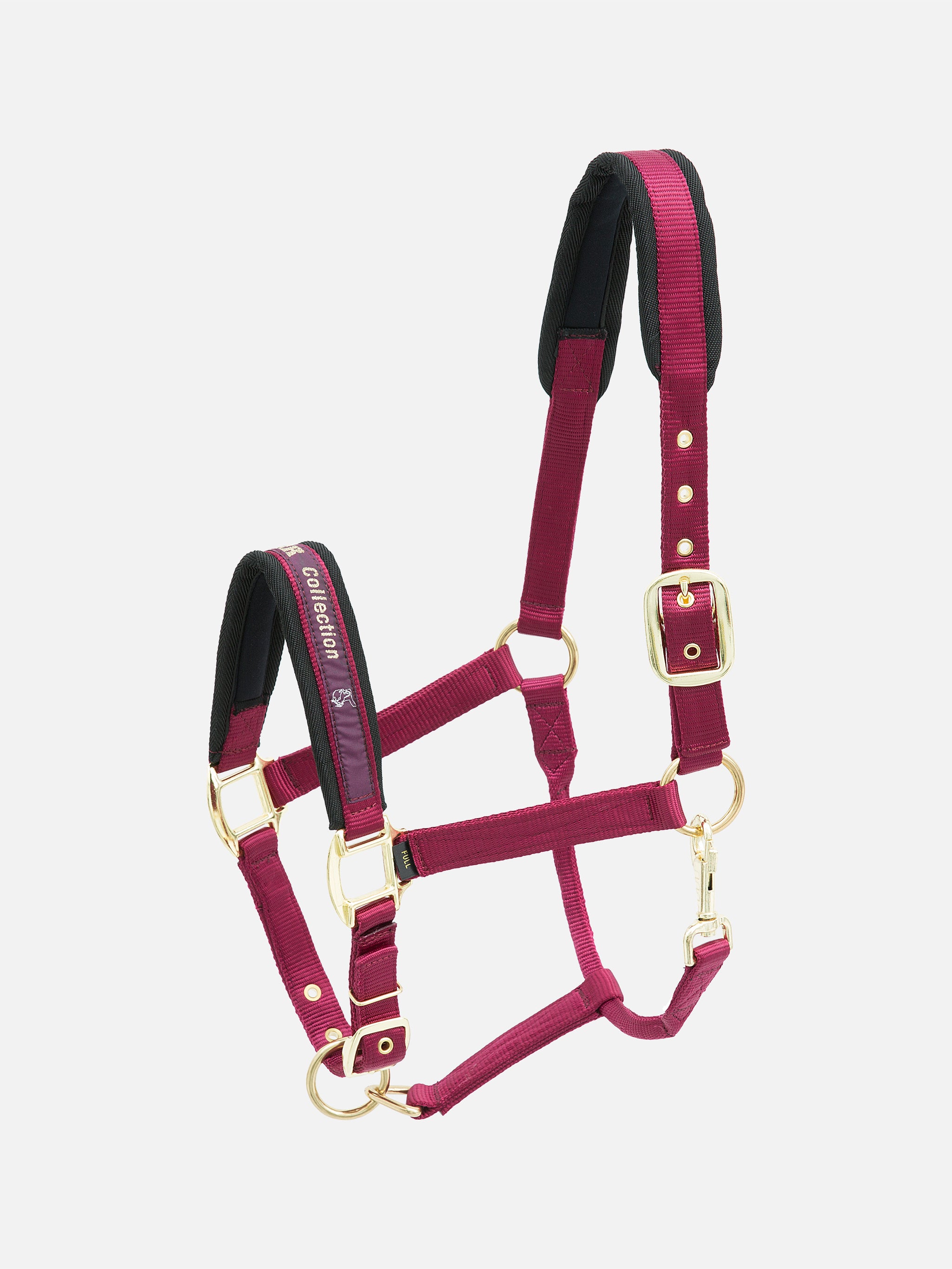 kieffer-collection-stallhalfter-nylon-gepolstert image 3