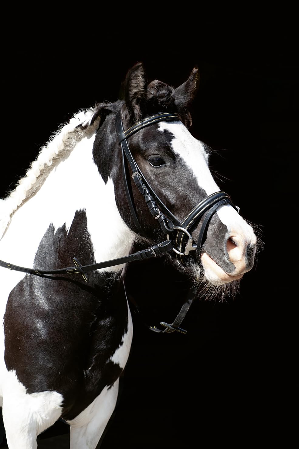 hkm-lou-trense-schwarz-one-size-rindsleder image 3