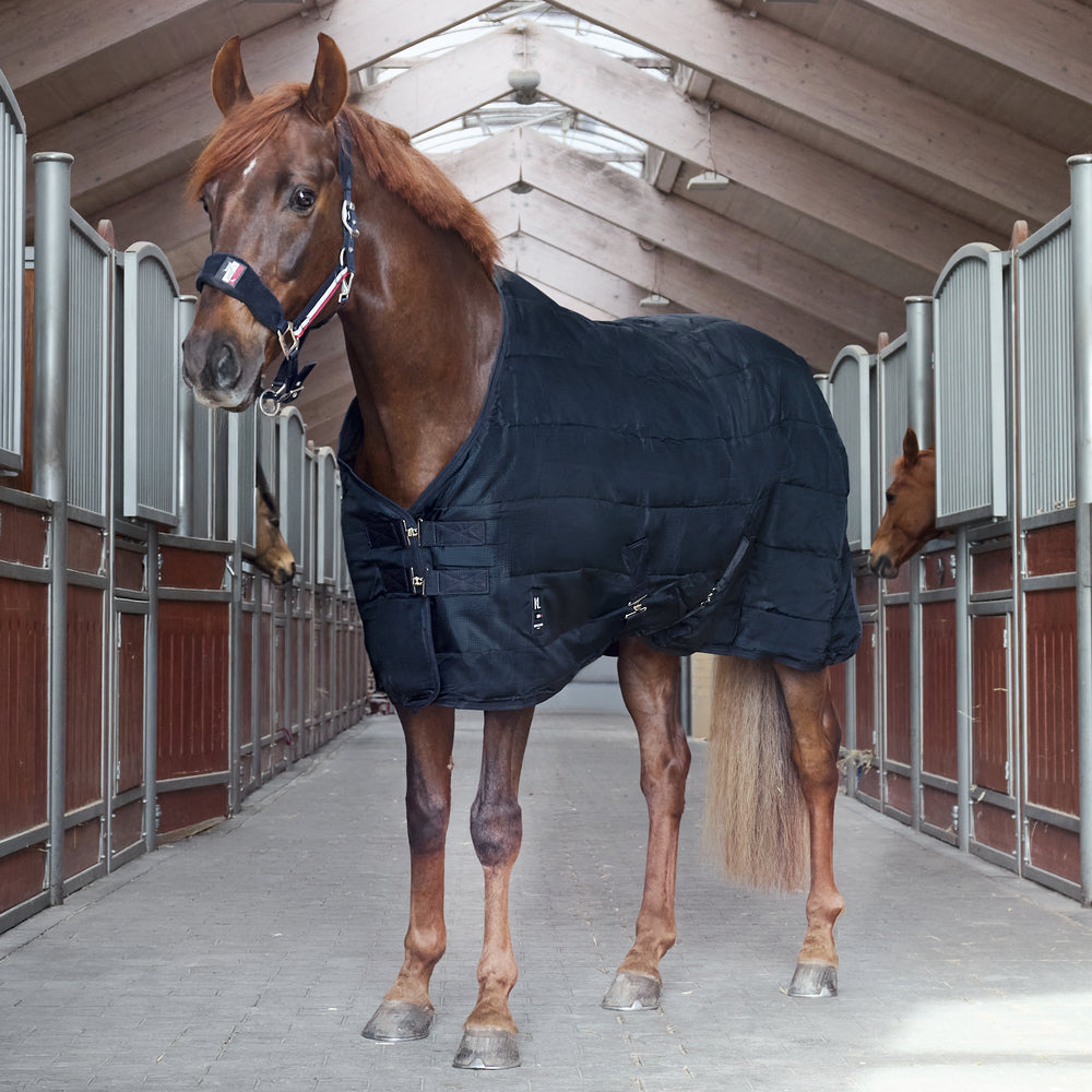 kingsland-equestrian-classic-primary-stalldecke-400g image 2