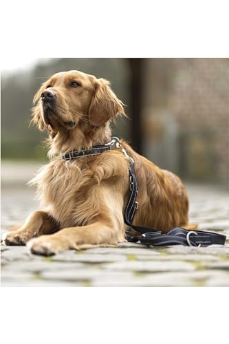 hkm-anam-cara-nylon-hundetrainingsleine-schwarz-l image 8
