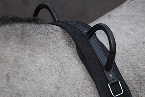 hkm-longierleine-canvas-8297-navy-sky-blue-pony image 8