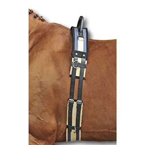 hkm-longiergurt-mit-haltegriff-canvas-pony-dunkelblau-beige image 2