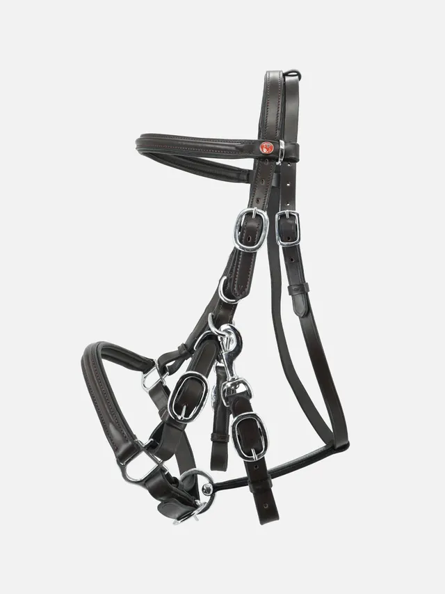 kieffer-s-trail-wanderzaum-trense-und-halfter-kombination image 1