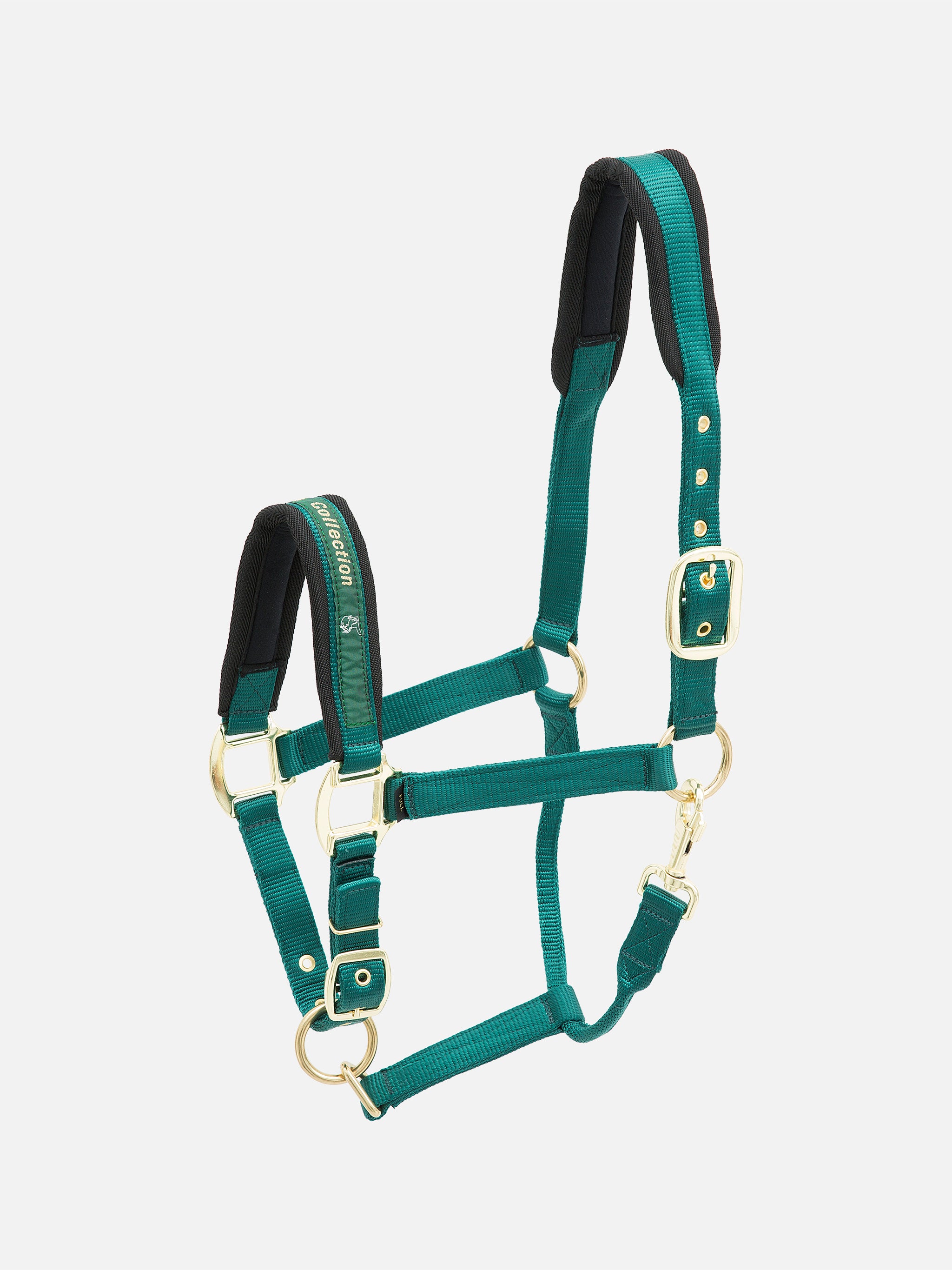 kieffer-collection-stallhalfter-nylon-gepolstert image 5
