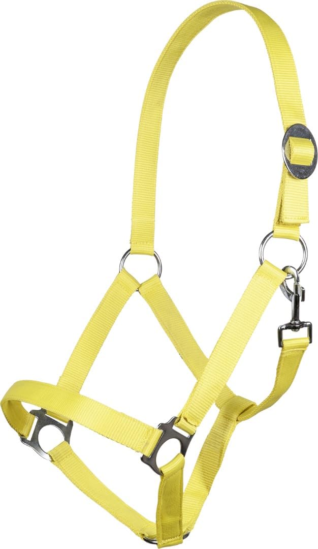 hkm-stars-economy-halfter-softice image 8