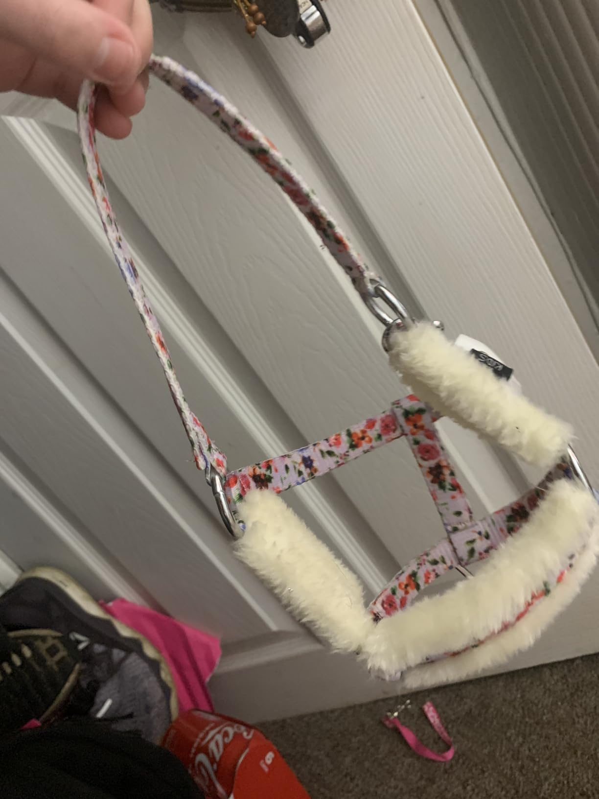 Perfektes Geschenk