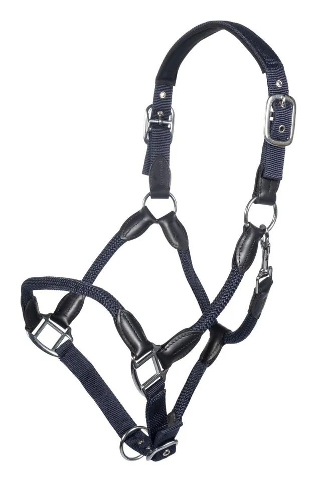 hkm-carlotta-halfter-dunkelblau-warmblut image 1