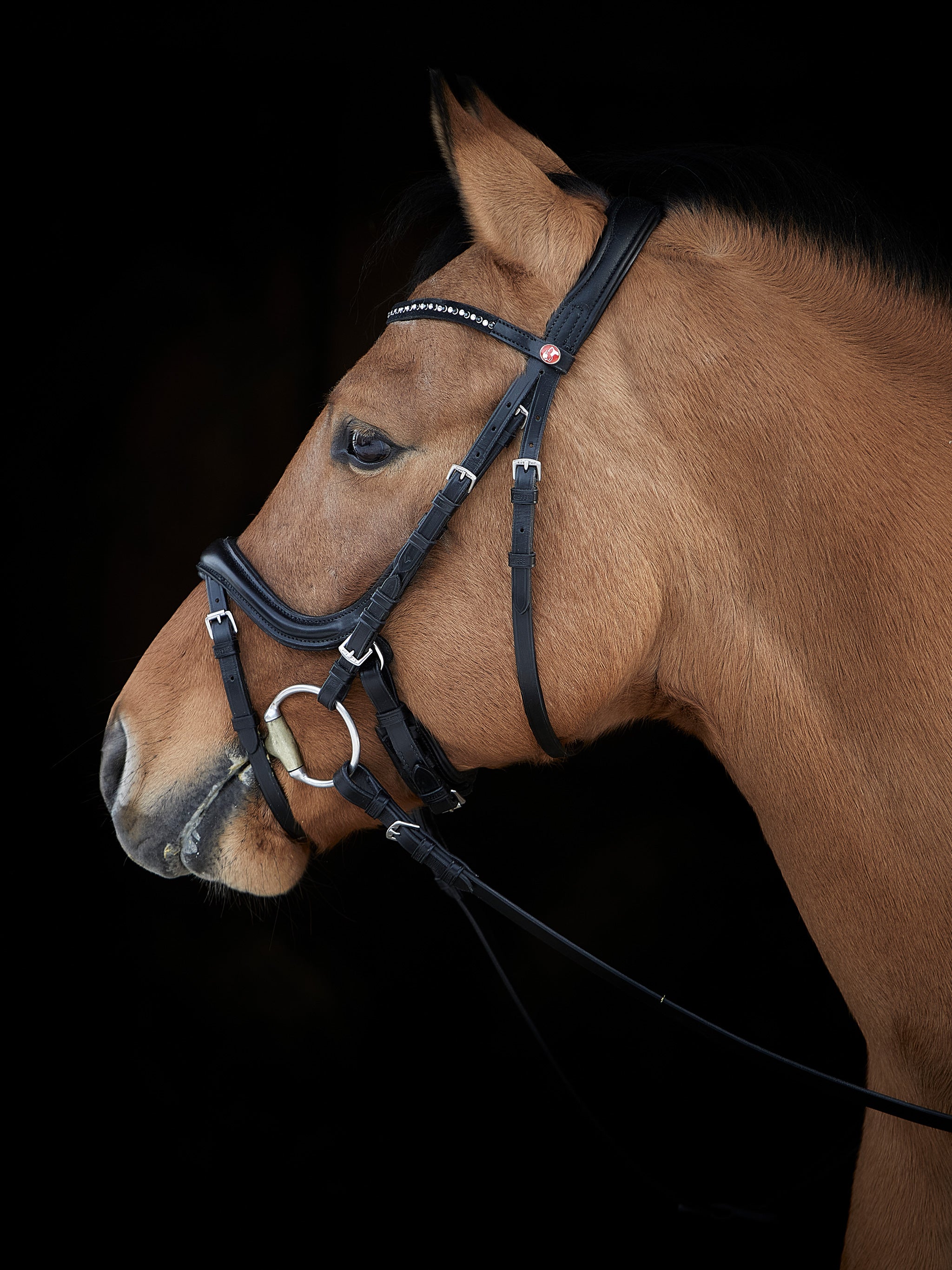kieffer-trense-ilona-mit-swarovski-kristallen-schwedisches-reithalfter image 2