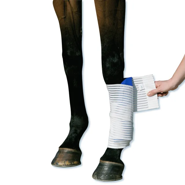 st-bben-kryo-kompakt-horse-elastische-bandage image 1