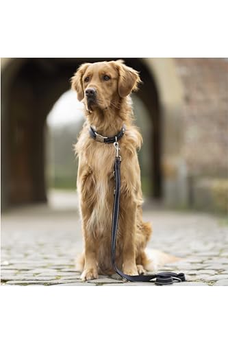 hkm-anam-cara-nylon-hundetrainingsleine-schwarz-l image 7