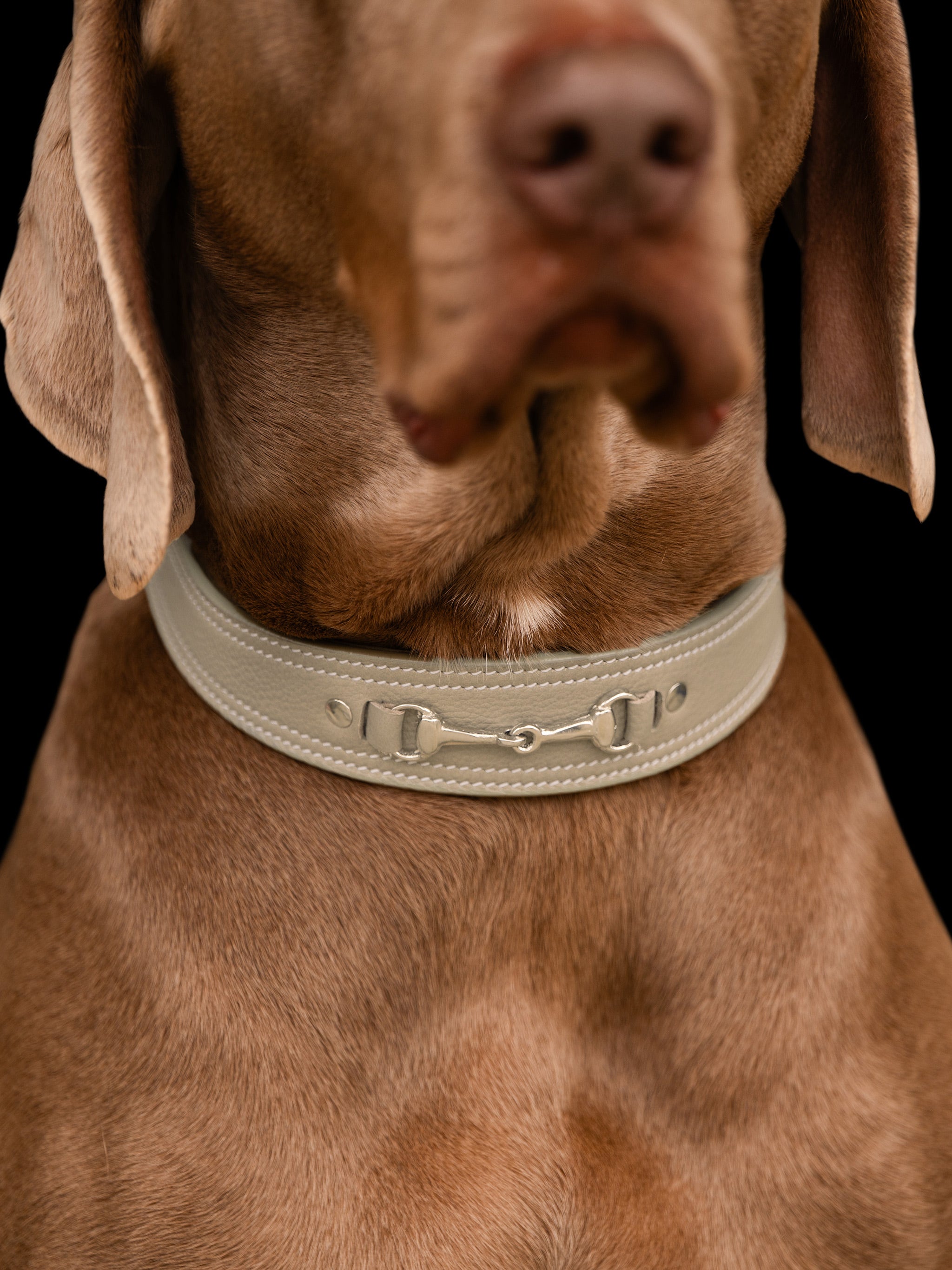 kieffer-ultrasoft-horsebit-hundehalsband image 2