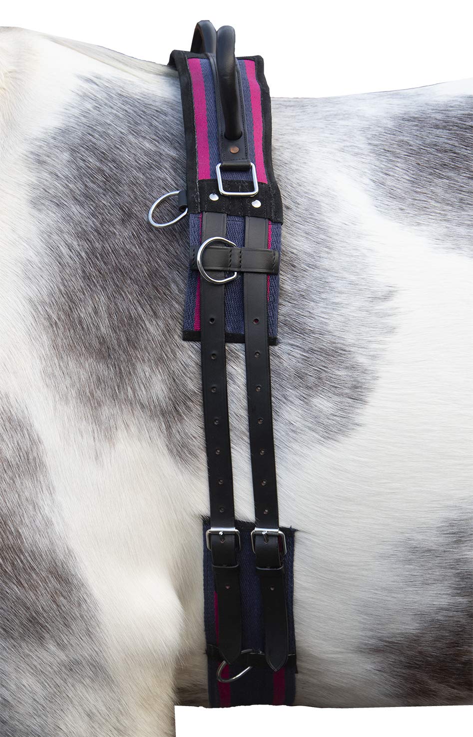 hkm-longierleine-canvas-8297-navy-sky-blue-pony image 6