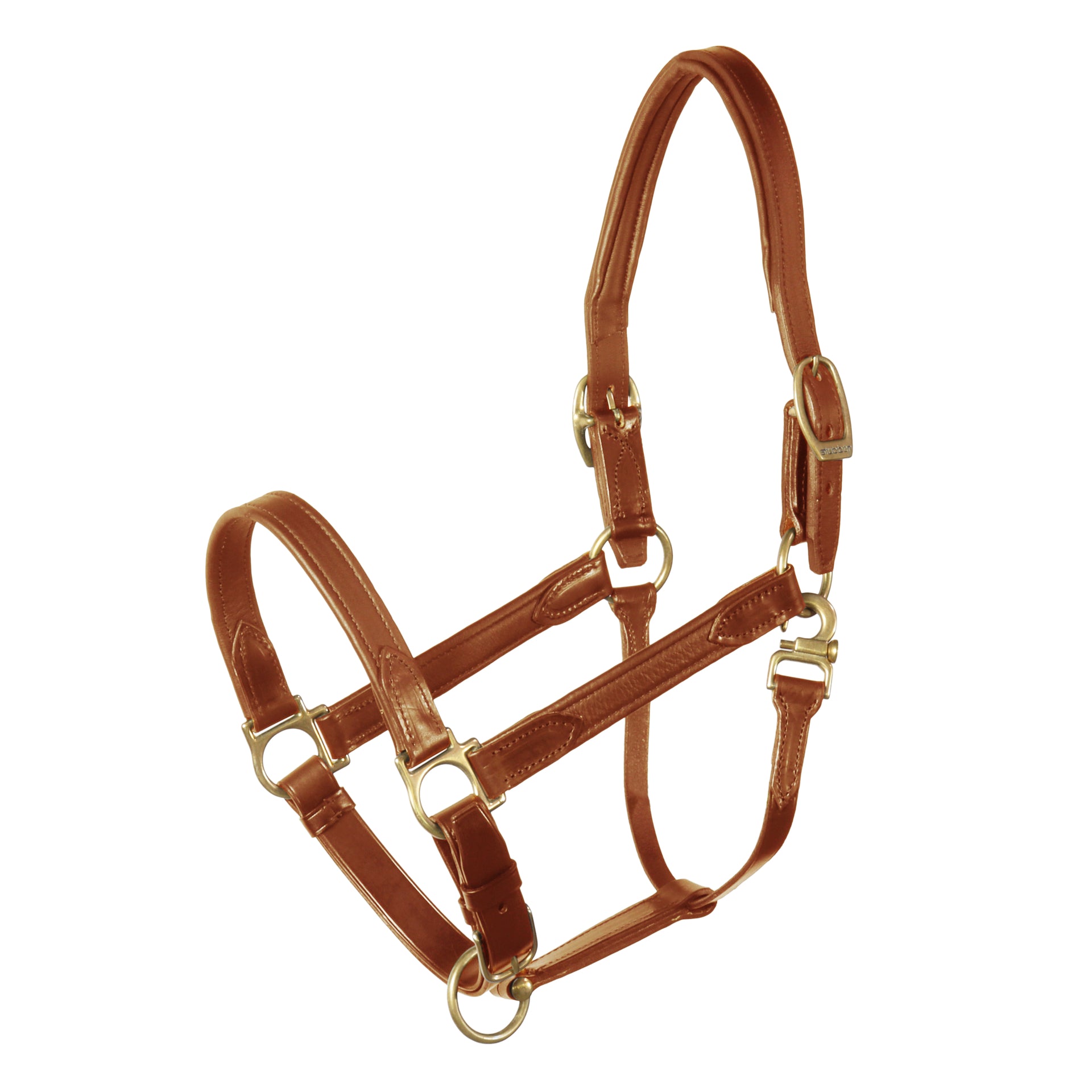 st-bben-lederhalfter-nt-stallhalfter-aus-vachette-leder-mit-messing image 3