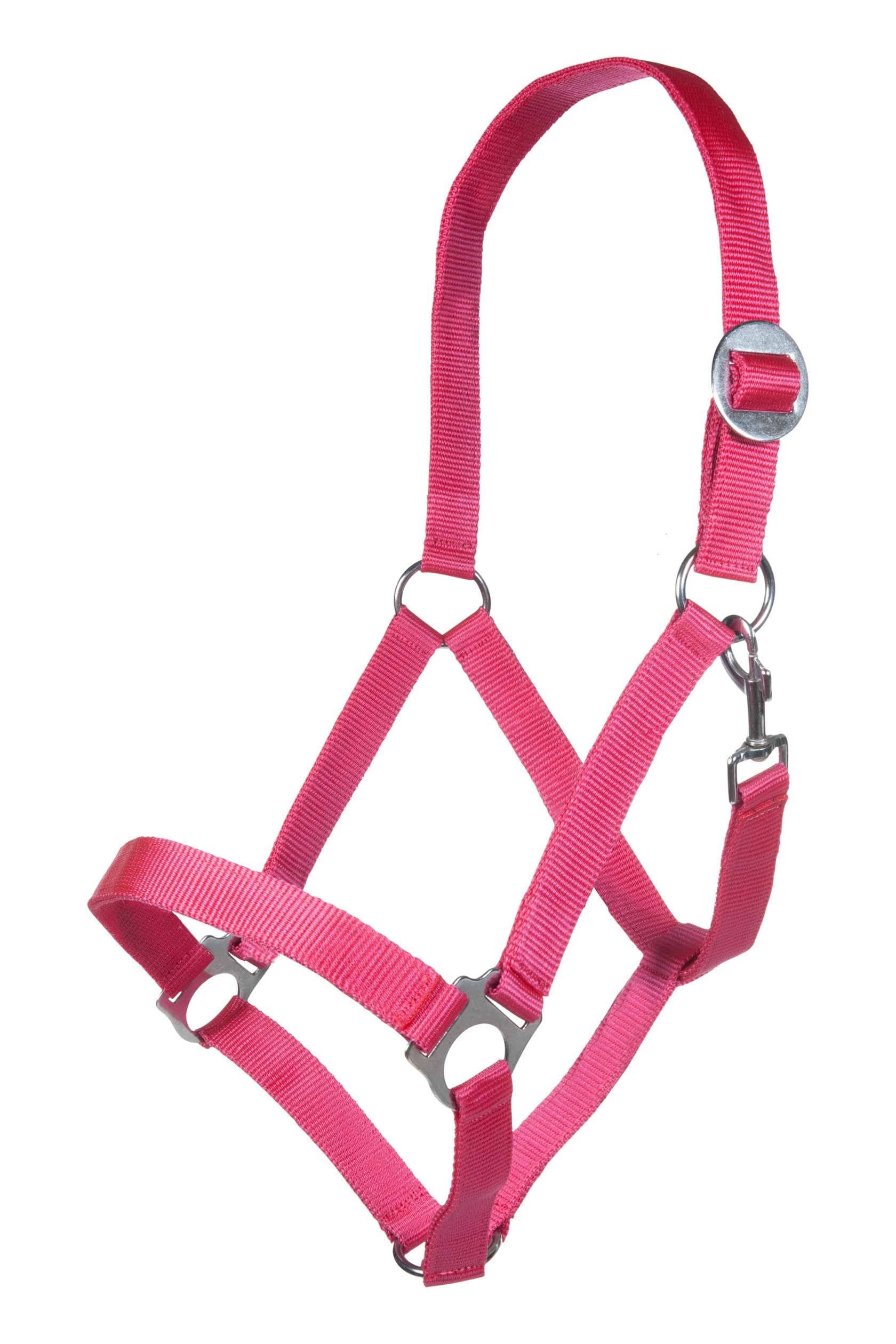 hkm-stars-economy-softice-sporenholster image 2