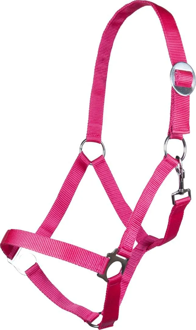 hkm-stars-economy-softice-sporenholster image 1
