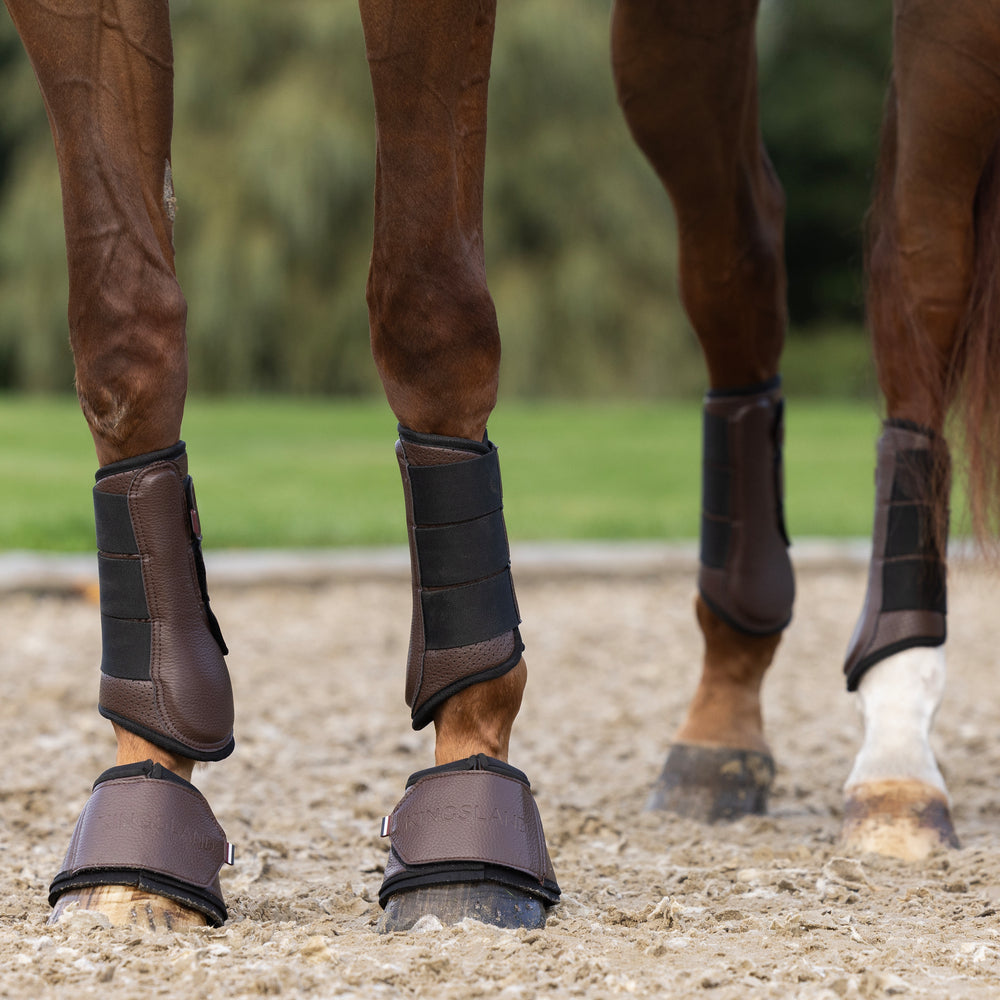 kingsland-equestrian-klmona-gamaschen-vorderbeine image 4