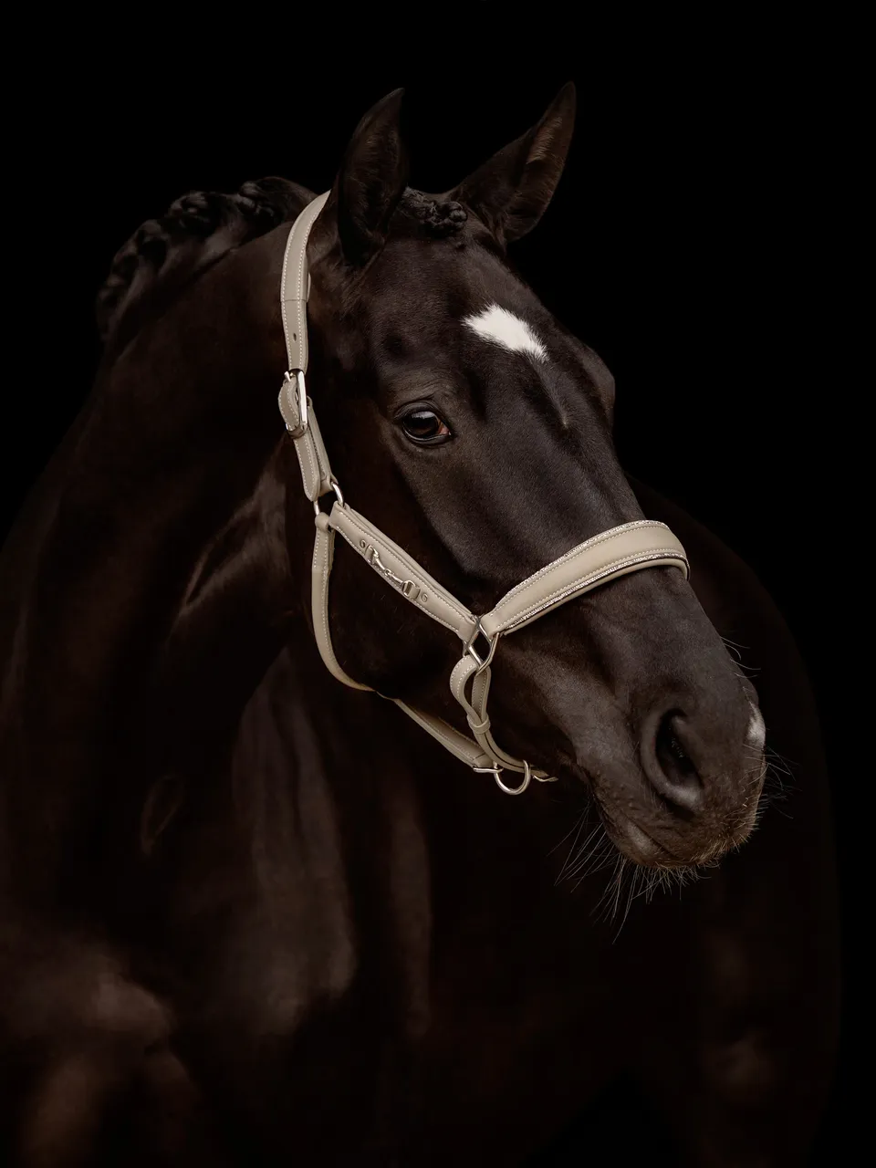 kieffer-ultrasoft-horsebit-leder-stallhalfter image 1