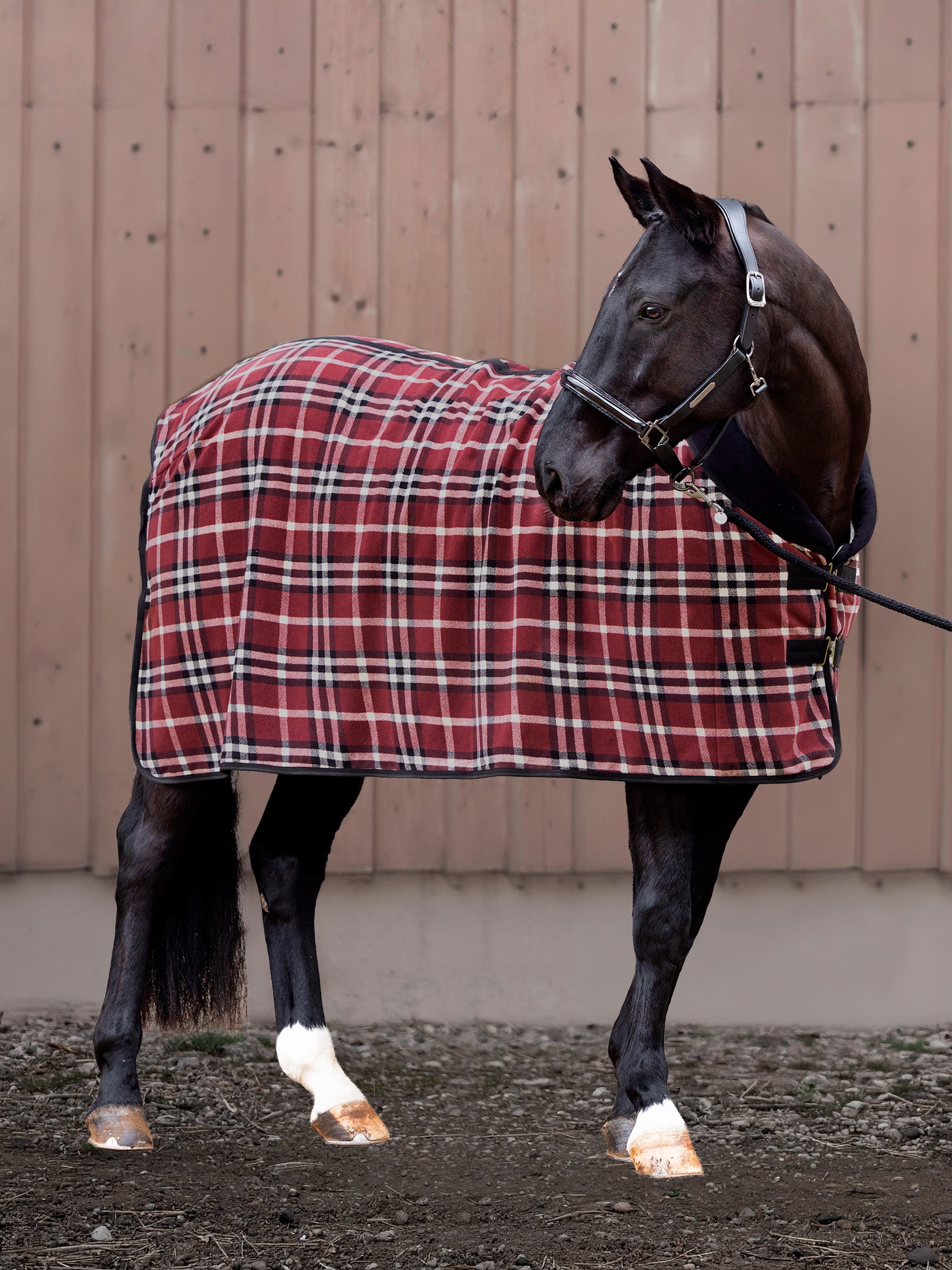 kieffer-abschwitzdecke-countrie-fleece-mit-kragen image 5